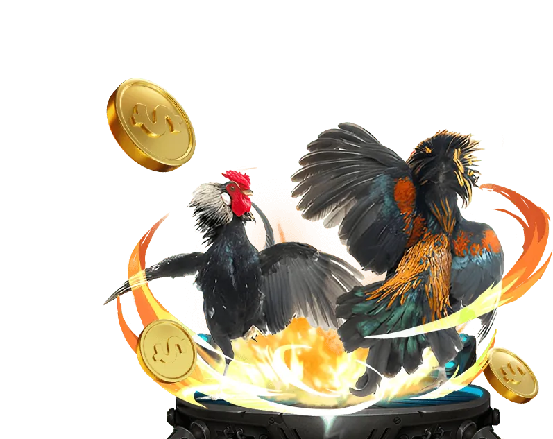 Mẹo và chiến thuật đá gà hiệu quả tại link shbet